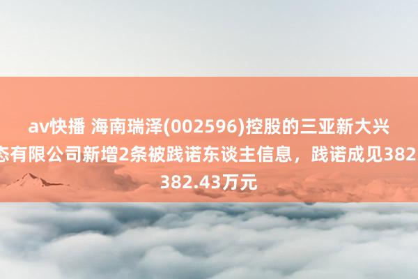 av快播 海南瑞泽(002596)控股的三亚新大兴园林生态有限公司新增2条被践诺东谈主信息，践诺成见382.43万元