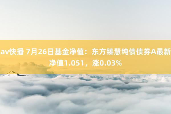 av快播 7月26日基金净值：东方臻慧纯债债券A最新净值1.051，涨0.03%