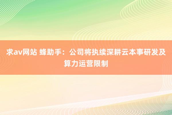 求av网站 蜂助手：公司将执续深耕云本事研发及算力运营限制