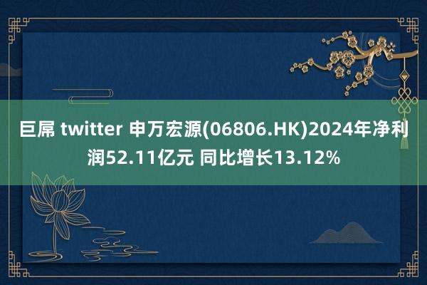 巨屌 twitter 申万宏源(06806.HK)2024年净利润52.11亿元 同比增长13.12%